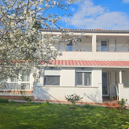 Apartments Betty Borik Rovinj Dış mekan fotoğraf