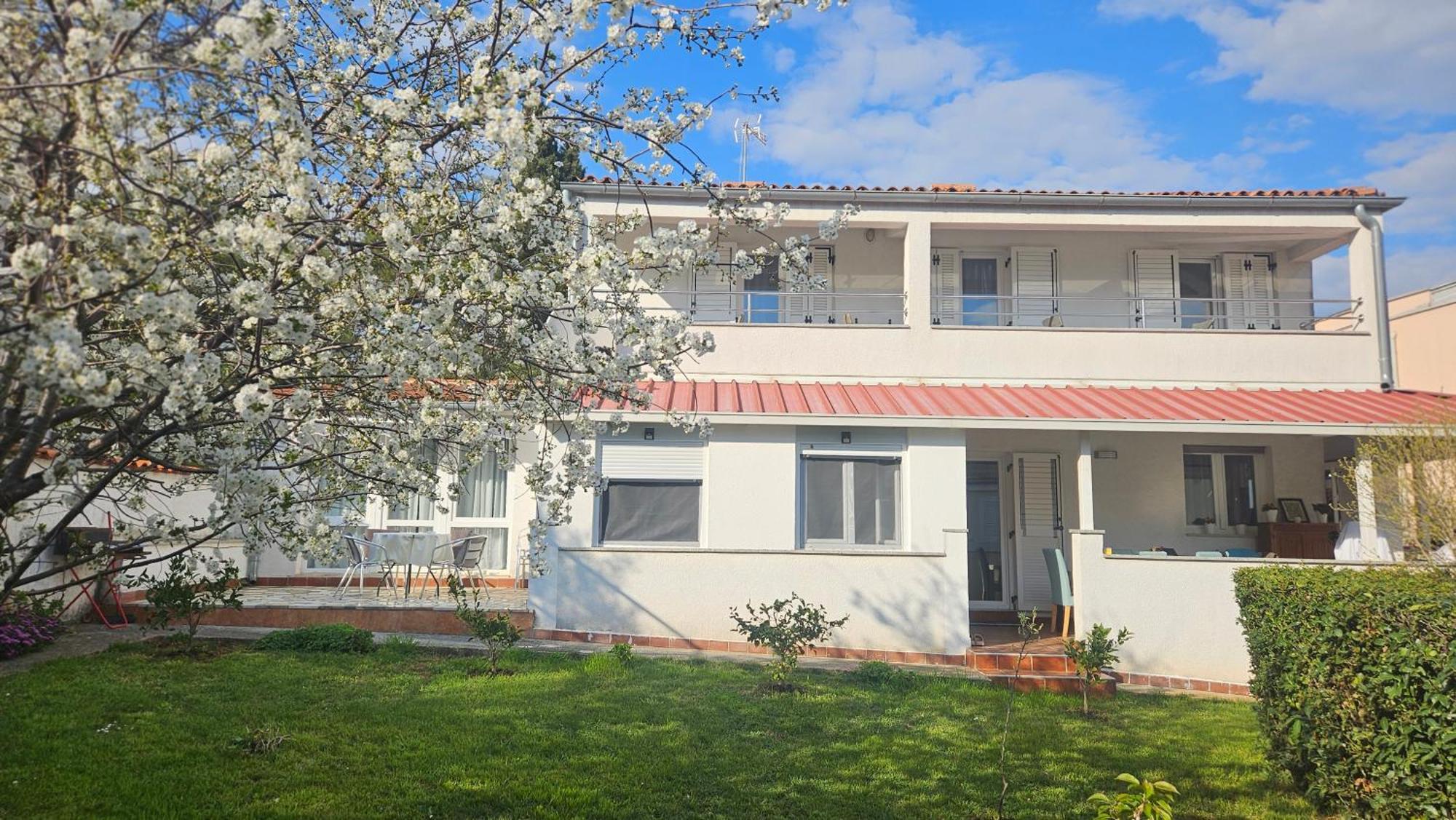 Apartments Betty Borik Rovinj Dış mekan fotoğraf